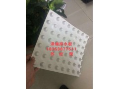 供應(yīng)%廣州車庫(kù)排水板/屋頂蓄排水板廠家