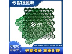 桂林隱形消防通道HDPE護(hù)坡植草格質(zhì)量可靠