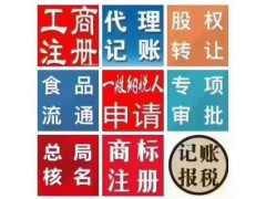 代理注冊控股公司及控股集團公司