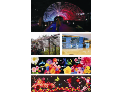 戶外防水天幕墻LED霓虹燈亮化燈光秀商場酒店樓體商業(yè)街燈光秀